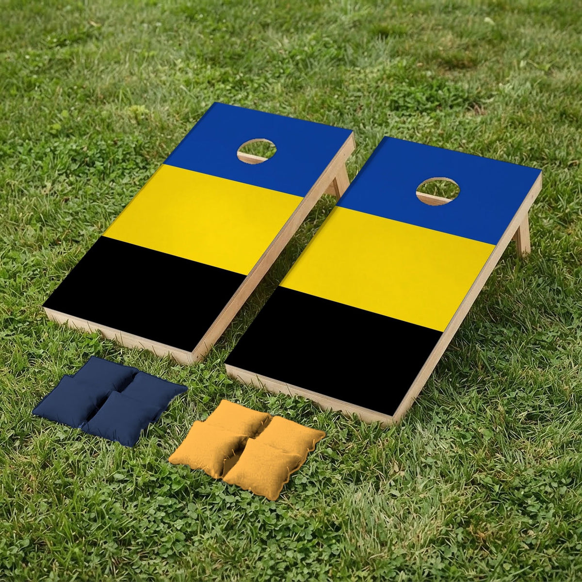 Cornholeset Gelderse vlag op gras